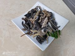 -墨脱石锅椰子鸡•香草鸭•东山羊(大东海店)