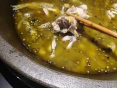 -石锅苗苗鱼(武汉首店)