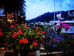 -真浪花园海鲜餐馆