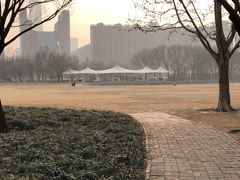 -泰丰公园