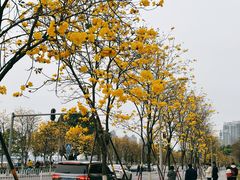 -洲头咀公园