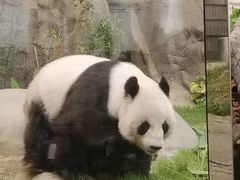 -香港海洋公园