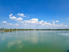 -君豪蟹都·湖景·农家乐(蟹舫苑店)