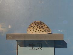 -海合安武汉极地海洋公园