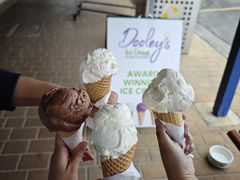 -Dooley's Premium Ice Cream