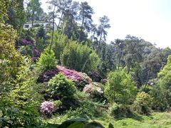 -南山植物园