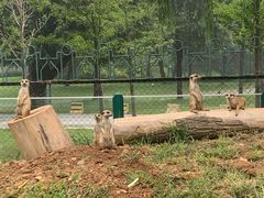-秦皇岛野生动物园
