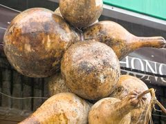 -中环花鸟鱼虫市场