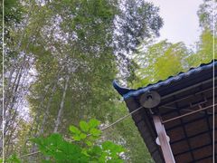 -大本营竹筒饭