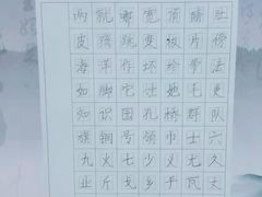 -赵汝飞练字硬笔书法(静安大融城校区)