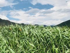 -泸沽湖国家级风景名胜区走婚桥
