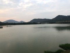 -风云岭森林公园