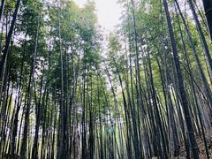 -广州市石门国家森林公园