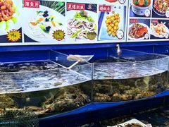 -天隆酒店·本地海鲜鲁菜(烟台大学店)