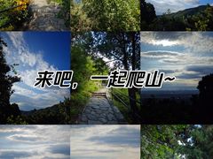 -香山公园