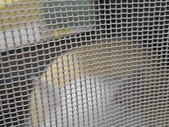 -宠颐生宠物医院外科·内科·皮肤科·影像科(石龙店)