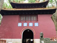 -普陀山风景名胜区-法雨禅寺