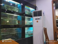 -全乐鱼馆·淳牌有机鱼直营店