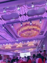 -曼格纳婚礼艺术中心(张江店)