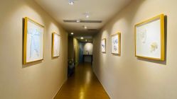 -海豚湾高端月子会所(黄浦店)