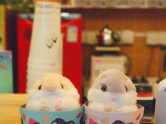-九秋茶铺(三里屯店)