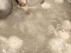 -正能量脆肉鲩火锅