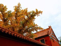 -故宫博物院(故宫)