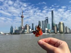 点击看大图 -罗斯福公馆·宴会厅