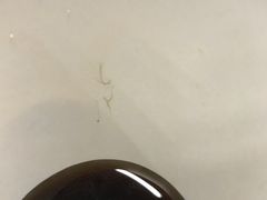 -麦当劳(海岸城店)