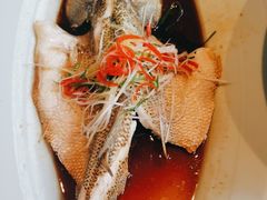 清蒸鲈鱼-丽华园(青少年宫店)