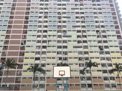 -彩虹村