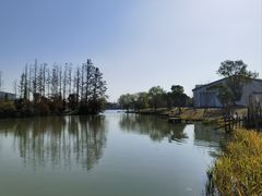 -上海长兴岛郊野公园