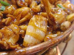 -老佛爷蛙锅•鲜蛙煲(麦凯乐店)