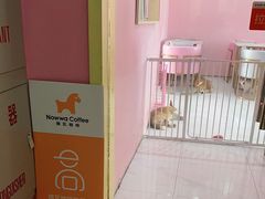 -蓝天宾馆诺瓦咖啡厅