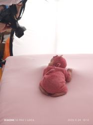 -玛瑞莎孕婴童摄影到家拍