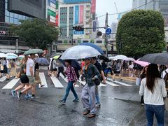 -涩谷全向十字路口