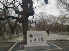 -北陵公园
