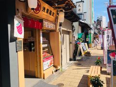 -浅草莓座(あさくさいちござ)