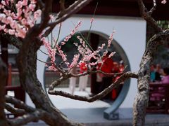 -莘庄公园