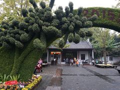 -汇龙潭