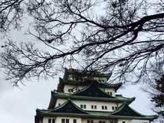 -名古屋城