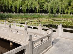 -文瀛公园