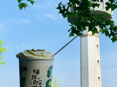 -茶颜悦色(岳麓山顶店)