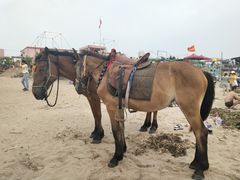 -南澳海滩