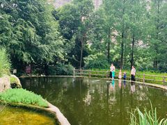 -成都市活水公园
