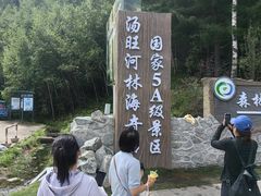 -汤旺河林海奇石景区
