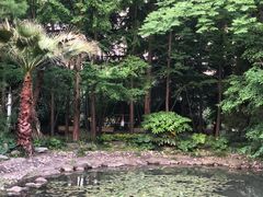 -苏州河梦清园环保主题公园