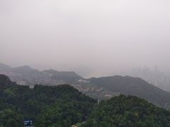 -大金鹰园