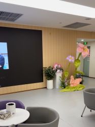 -上海伊莱美医疗美容医院