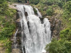 -海南热带雨林国家公园吊罗山景区